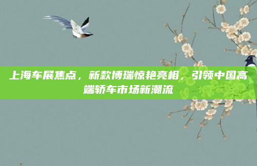 上海车展焦点,新款博瑞惊艳亮相,引领中国高端轿车市场新潮流