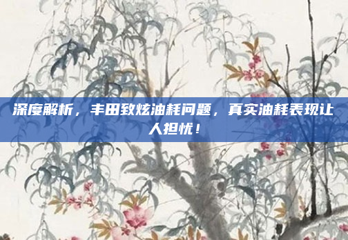 深度解析,丰田致炫油耗问题,真实油耗表现让人担忧!