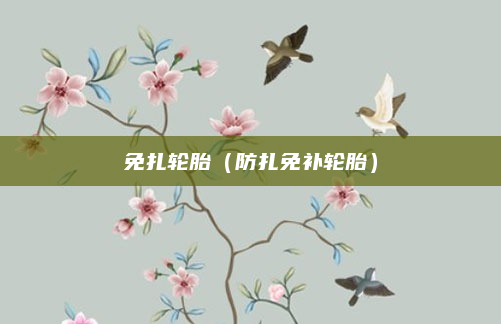 免扎轮胎(防扎免补轮胎)
