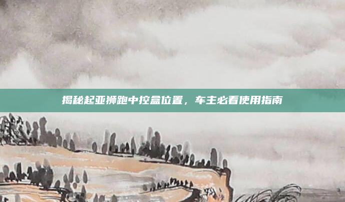 揭秘起亚狮跑中控盒位置，车主必看使用指南