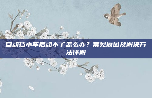 自动挡小车启动不了怎么办？常见原因及解决方法详解