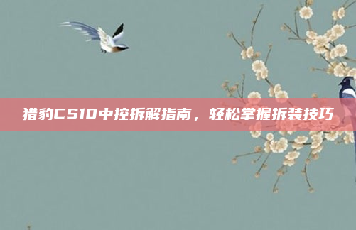 猎豹CS10中控拆解指南，轻松掌握拆装技巧