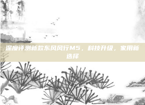 深度评测新款东风风行M5，科技升级，家用新选择