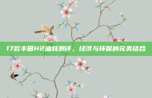 17款丰田H2油耗测评，经济与环保的完美结合