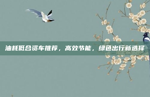 油耗低合资车推荐，高效节能，绿色出行新选择