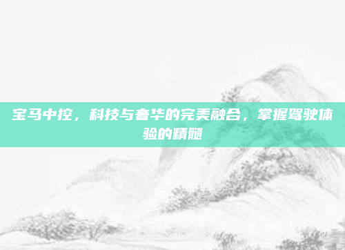 宝马中控，科技与奢华的完美融合，掌握驾驶体验的精髓
