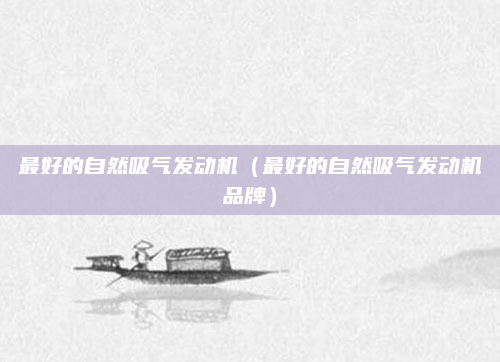 最好的自然吸气发动机（最好的自然吸气发动机品牌）