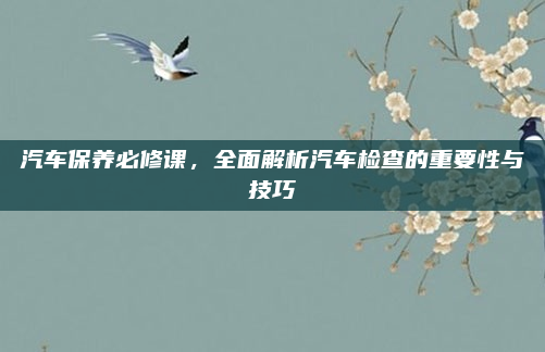 汽车保养必修课,全面解析汽车检查的重要性与技巧