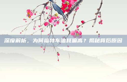 深度解析,为何福特车油耗偏高?揭秘背后原因