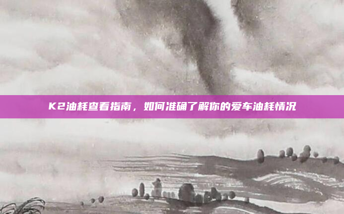 K2油耗查看指南,如何准确了解你的爱车油耗情况