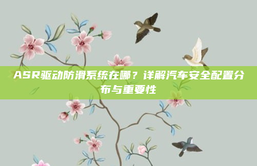 ASR驱动防滑系统在哪？详解汽车安全配置分布与重要性