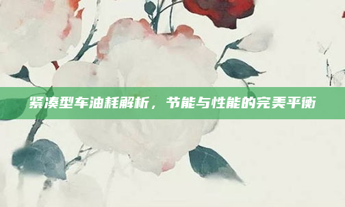 紧凑型车油耗解析,节能与性能的完美平衡