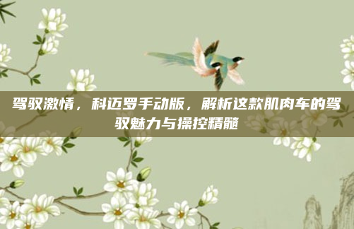 驾驭激情,科迈罗手动版,解析这款肌肉车的驾驭魅力与操控精髓