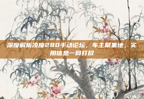 深度解析凌度280手动论坛，车主聚集地，实用信息一网打尽