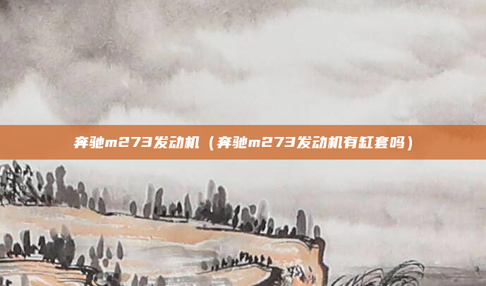 奔驰m273发动机（奔驰m273发动机有缸套吗）