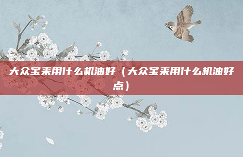 大众宝来用什么机油好（大众宝来用什么机油好点）