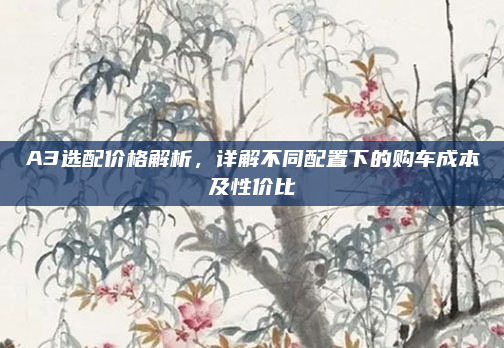A3选配价格解析，详解不同配置下的购车成本及性价比