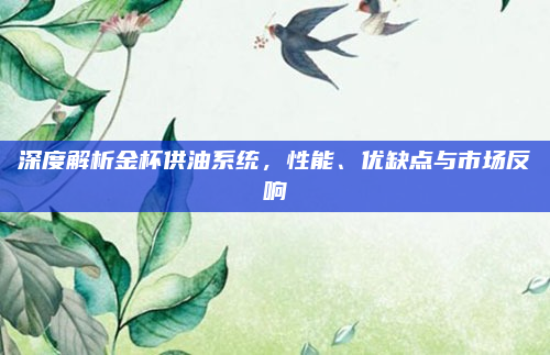 深度解析金杯供油系统，性能、优缺点与市场反响