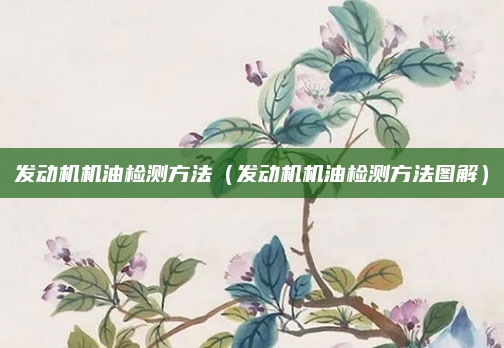 发动机机油检测方法（发动机机油检测方法图解）