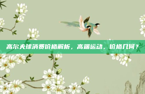 高尔夫球消费价格解析,高端运动,价格几何?