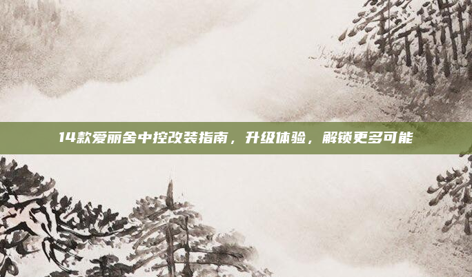 14款爱丽舍中控改装指南，升级体验，解锁更多可能