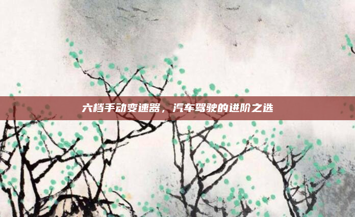 六档手动变速器,汽车驾驶的进阶之选