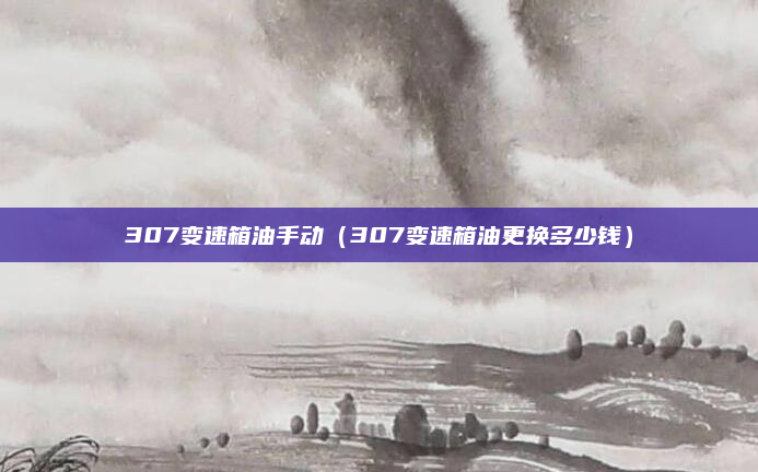 307变速箱油手动（307变速箱油更换多少钱）