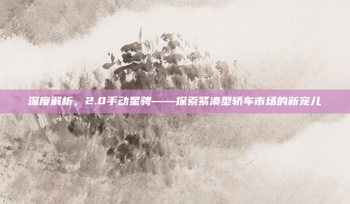 深度解析,2.0手动星骋——探索紧凑型轿车市场的新宠儿