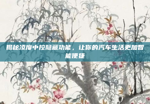 揭秘凌度中控隐藏功能，让你的汽车生活更加智能便捷