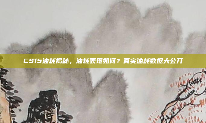 CS15油耗揭秘，油耗表现如何？真实油耗数据大公开