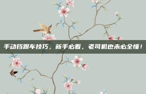 手动挡跟车技巧,新手必看,老司机也未必全懂!