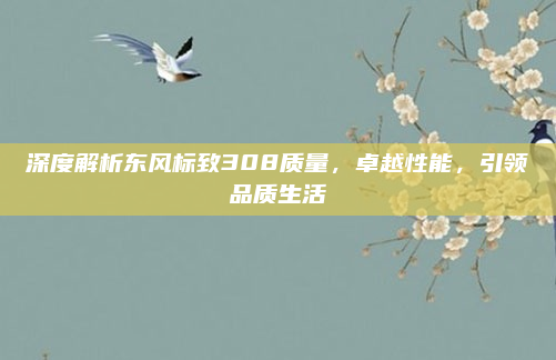 深度解析东风标致308质量,卓越性能,引领品质生活