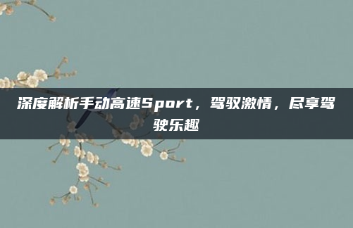 深度解析手动高速Sport,驾驭激情,尽享驾驶乐趣