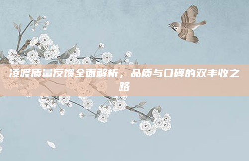 凌渡质量反馈全面解析,品质与口碑的双丰收之路