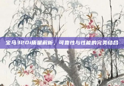 宝马320i质量解析,可靠性与性能的完美结合