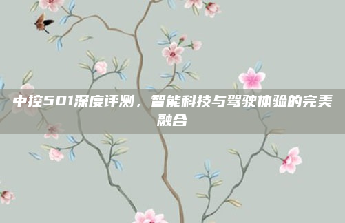 中控501深度评测,智能科技与驾驶体验的完美融合