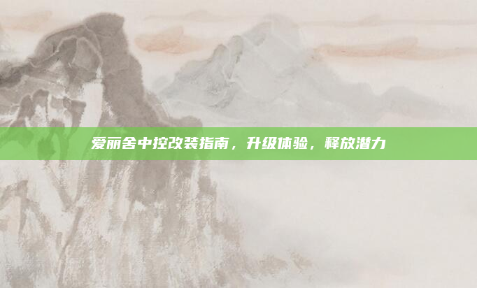 爱丽舍中控改装指南,升级体验,释放潜力