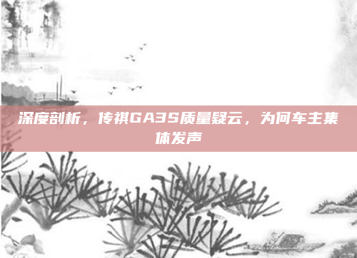 深度剖析，传祺GA3S质量疑云，为何车主集体发声