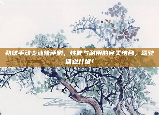 劲炫手动变速箱评测，性能与耐用的完美结合，驾驶体验升级！