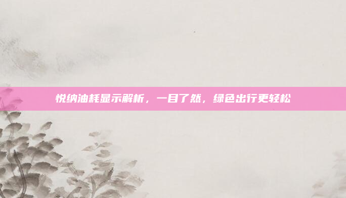 悦纳油耗显示解析，一目了然，绿色出行更轻松