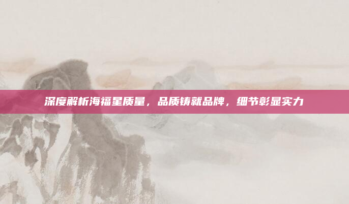 深度解析海福星质量,品质铸就品牌,细节彰显实力