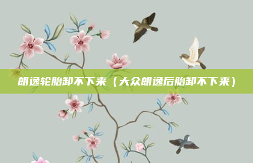 朗逸轮胎卸不下来（大众朗逸后胎卸不下来）