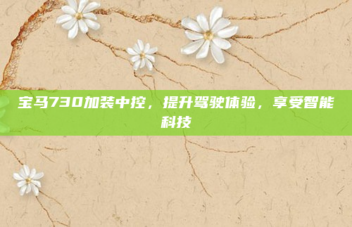 宝马730加装中控，提升驾驶体验，享受智能科技