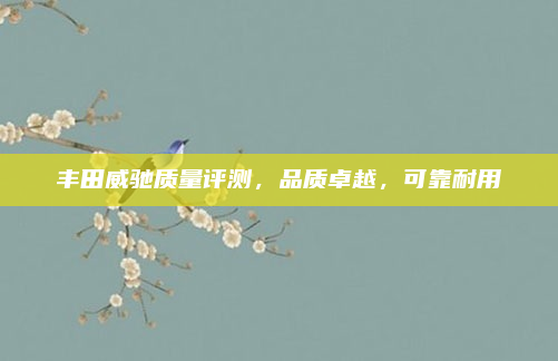 丰田威驰质量评测,品质卓越,可靠耐用