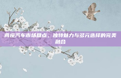 两座汽车市场盘点，独特魅力与多元选择的完美融合