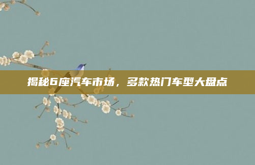 揭秘6座汽车市场,多款热门车型大盘点