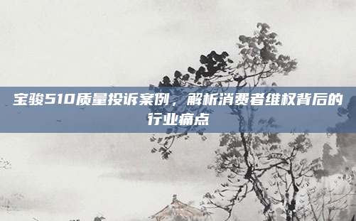 宝骏510质量投诉案例,解析消费者维权背后的行业痛点