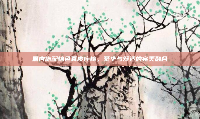 黑内饰配棕色真皮座椅,豪华与舒适的完美融合