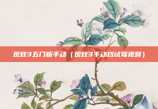 观致3五门版手动(观致3手动挡试驾视频)