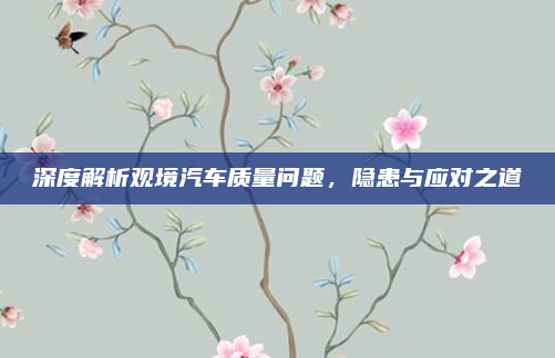深度解析观境汽车质量问题，隐患与应对之道
